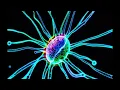 CELL CYCLING | VISUALIZER | AMC MAXXING #1