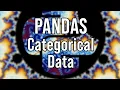 Pandas How to work with Categorical Data