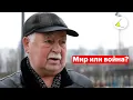 Переговоры Россия-Украина: Реально ли договориться сейчас? Опрос на улицах Перми