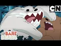 Download Lagu Feral Ice Bear | We Bare Bears | Cartoon Network