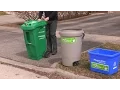 How to Dispose of Yard Waste