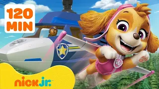 دوريات المخلاب مغامرات الإنقاذ الجوي لـ PAW Patrol 4 مع تشيس 120 دقيقة Nick Jr Arabia  دوريات المخلاب مغامرات الإنقاذ الجوي لـ PAW Patrol 4 مع تشيس 120 دقيقة Nick Jr Arabia