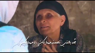  قلبي اطمئن كالغيث كن أملا   دندنها