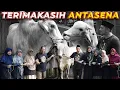 Download Lagu GAK NYANGKA ANTASENA TERNYATA MENUNGGU SAHABATNYA UNTUK DIQURBANKAN BERSAMA!