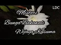 Download Lagu MISTERI BUNGA WIJAYA KUSUMA ( BUNGA BAKAWALI )