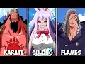 All 12 8 Main Races in One Piece Ranked All Special Abilities Analyzed