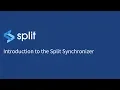 Split Training Introduction to the Split Synchronizer