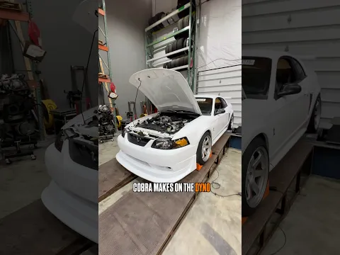 Let’s Dyno The Cobra “R”!