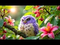 Find Your INNER PEACE in Just 5 Minutes with this Beautiful Piano Music and Bird Sounds