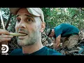 Se alimenta de plantas sin saber si son venenosas Ed Stafford al Extremo Discovery en Espanol