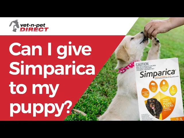 Simparica Chewable Tablet for Extra Large Dogs 40.1 to 60kg