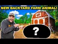BUYING New BACKYARD Farm ANIMAL from CRAIGSLIST