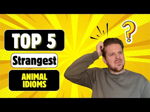 Input comprensible en inglés: The 5 Strangest Animal Idioms in Inglés - Avanzado - Daily Life #5