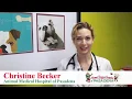 Business Overview Promotional - Animal Medical Hospital Pasadena