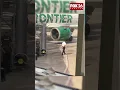 Flight to Dallas cancelled as Frontier Airlines pilot arrested at Houston airport
