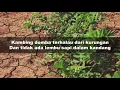 Sekalipun Pohon Ara (Habakuk 3 ; 17-18) - Gloria Trio - Lirik