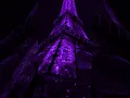 Download Lagu Shinunoga E-Wa - Fujii Kaze | lyrics | aesthetic | whatsapp Status | English songs | slowed #viral 💕