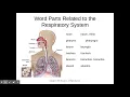 Chapter 5 Exploring Medical Language 10th Edition