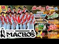 Download Lagu Banda Machos, Banda Maguey, Banda cuisillos, Banda El Recodo,... ✅ Tecno Bandas Mejor Musica