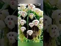Download Lagu 10 Most Beautiful Orchids/Types of Orchid/Varieties of Orchid