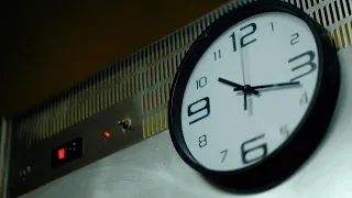 Papillon - ¡ +1 !