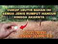 LUAR BIASA CAIRAN RACUN RUMPUT INI || MEMBUAT RUMPUT HANCUR DALAM SEKEJAP