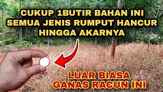 Download Luar biasa cairan racun rumput ini || membuat rumput hancur lebur seketika MP3