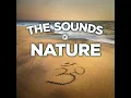 Gentle Night Relaxation