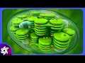 Chloroplast in 4 Minutes - Structure And Functions