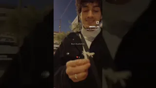 ده اللي رد الروح وخلي دنيتي تحلو بيه حالات واتس حب 