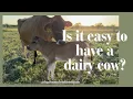 Download Lagu Should you buy raw milk, or a family milk cow?