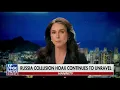 Tulsi gabbard dropped a bombshell