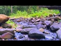Download Lagu Gentle Stream Sounds | Relaxing Stream Sounds use for Relaxation, Sleep, insomnia