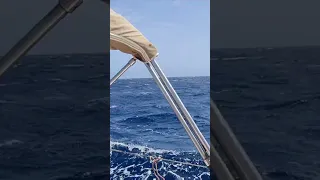 Cape Verde sailing #sailing #africa #windedvoyage #caboverde