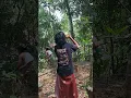 Download Lagu suku lokal