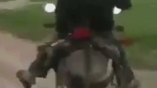 المانيا دورا ابو علي 