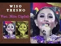 Download Lagu WISO TRESNO (ENN) - NITA CIPLUK - KMB MUSIC - SANJAYA MULTIMEDIA - KURNIA AUDIO