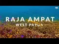 Download Lagu This is Raja Ampat (4k) - dive into the dream of biodiversity