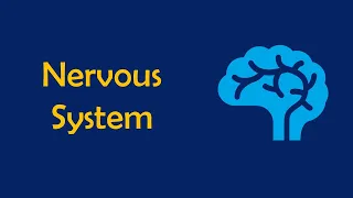 UHS Past Papers Final Year MBBS Nervous System