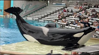 Orca Encounter (Full Show) - SeaWorld Orlando - September 22, 2026