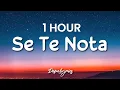 [1 HOUR] Se Te Nota - Lele Pons, Guaynaa (Letra/Lyrics) 🎵