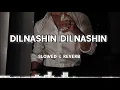 Lagu Dilnashin Dilnashin (Slowed + Reverb) | Mohabbat | Udit Narayan | Alka Yagnik | 8D Audio Lofi