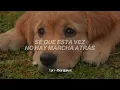 Jesse & Joy - ¿Con Quién Se Queda El Perro? (Letra)