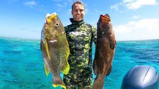 Spearfishing Australia’s Most Elusive Fish, GREAT BARRIER REEF ISLAND (‘The Great Adventure’ Ep: 9)