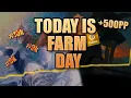 The GREATEST 5 Digit Session Ever 3000 Rank 27 07 26