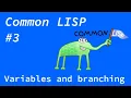 Common Lisp - Local variables and branching