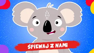 🐨🤔 ŚPIEWAJ Z NAMI! - MIŚ KOALA - ŚPIEWAJĄCE BRZDĄCE PIOSENKI DLA DZIECI