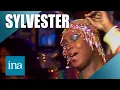 Download Lagu 🪩 Sylvester \