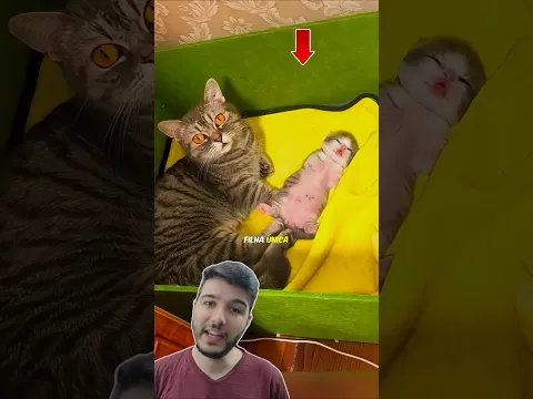 O Problema De Nascer FILHA ÚNICA! 😂