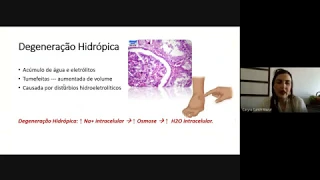 Patologia Geral - aula 4 - Degenerações